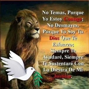 Meet your Posher, Jose